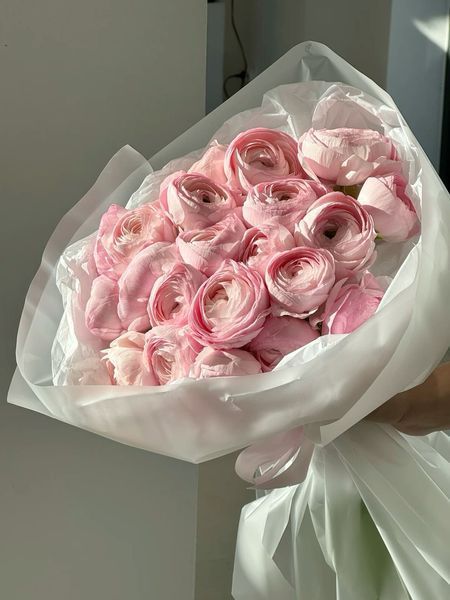 Ranunculus Pink Hanoi, 9 pcs