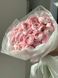 Ranunculus Pink Hanoi, 9 pcs
