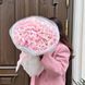 Ranunculus Pink Hanoi, 9 pcs