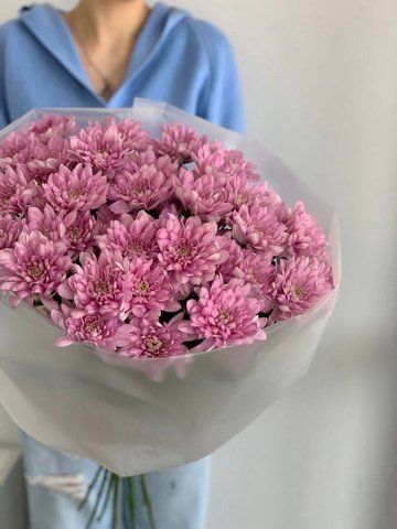Яскрава хризантема mono-chrysantemum-pinh фото