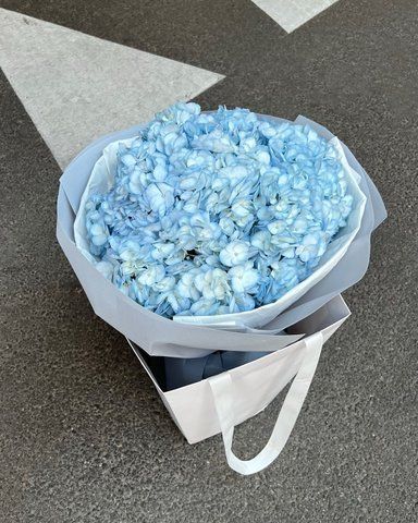 Блакитні Гортензії blue-hortenzii-3 фото