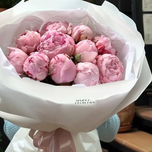 Peonies Sara Bernhard, 15 pcs