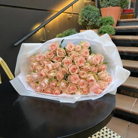 Кущова троянда Kimberly kimberly-15 фото