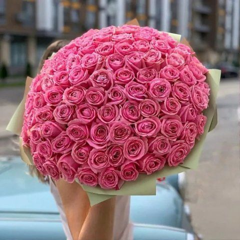 Троянда Wham wham_rose_15 фото